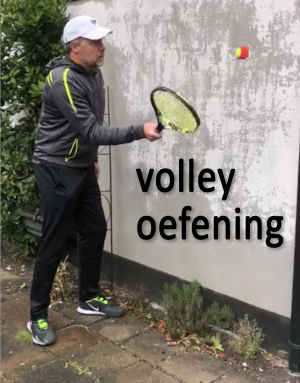 volley volley
